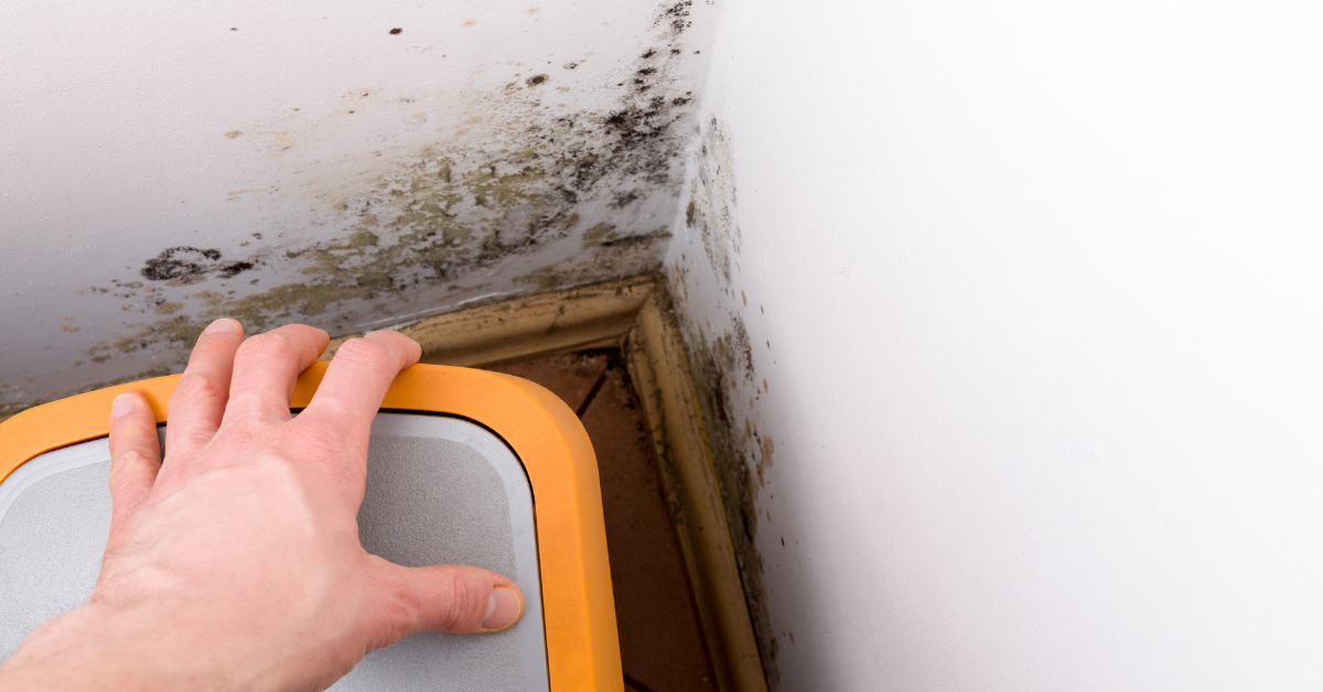 Best waterproofing solution for basement leaks