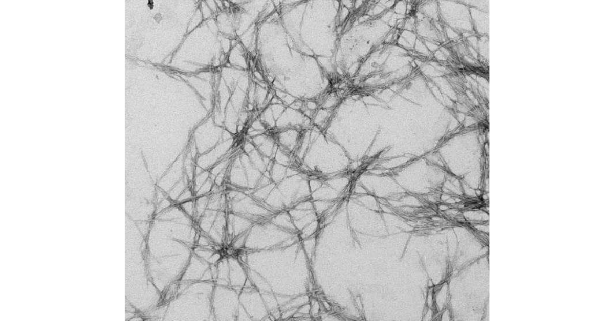 Nano Cellulose in Cementitious Systems: A New Era of Rheology Control